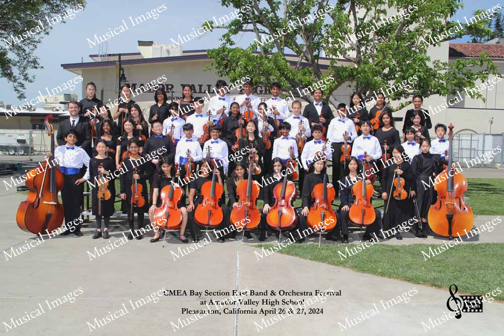 Musical Images
